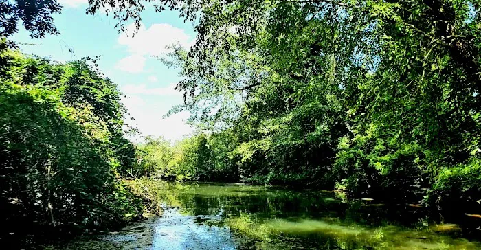Georgia Veterans State Park Campground Picture 7
