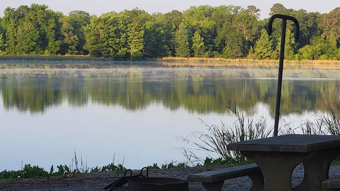Georgia Veterans State Park Campground Picture 9