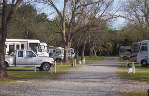 Cordele KOA Journey Picture 4