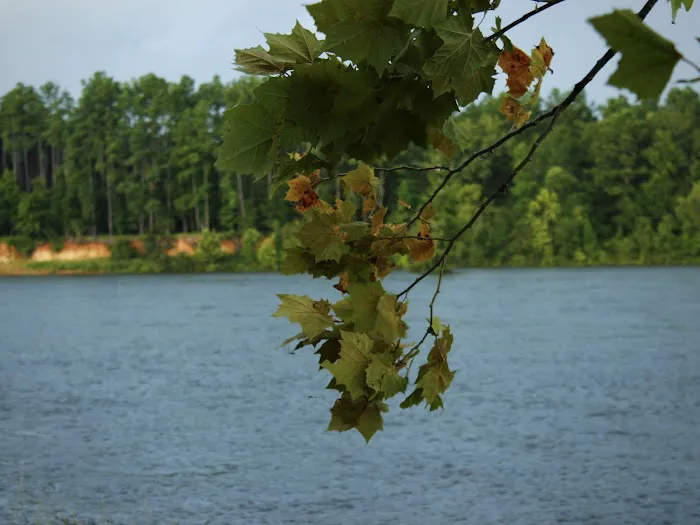 Killebrew Park Campground Picture 3