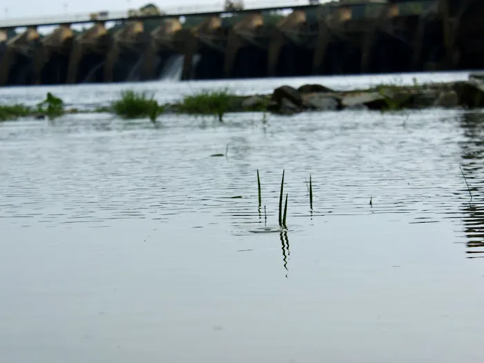 Killebrew Park Campground Picture 1