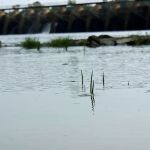 Killebrew Park Campground