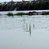 Killebrew Park Campground ico