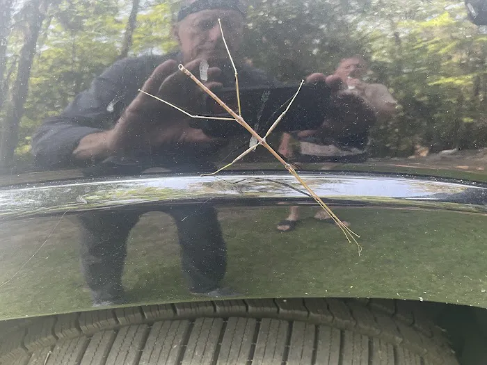 Killebrew Park Campground Picture 5