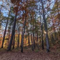 Coleman Lake Campground and Picnic Area ico
