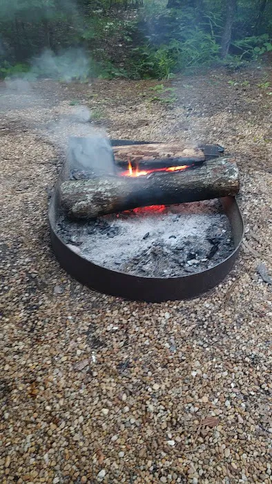 Coleman Lake Campground and Picnic Area Picture 8
