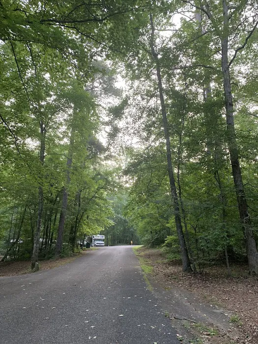 Coleman Lake Campground and Picnic Area Picture 9