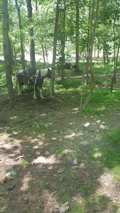 Warden Station Horse Camp Picture 1