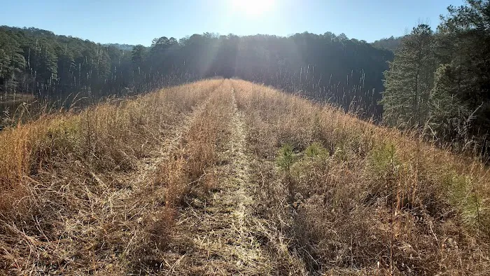 Pine Glen Campground Picture 4