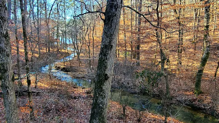 Pine Glen Campground Picture 3