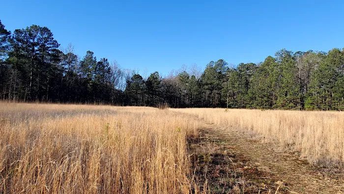 Pine Glen Campground Picture 5