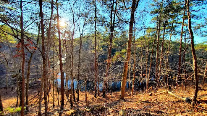 Pine Glen Campground Picture 7