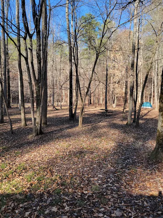 Pine Glen Campground Picture 8