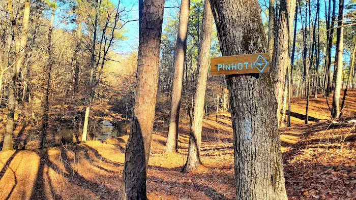 Pine Glen Campground Picture 6