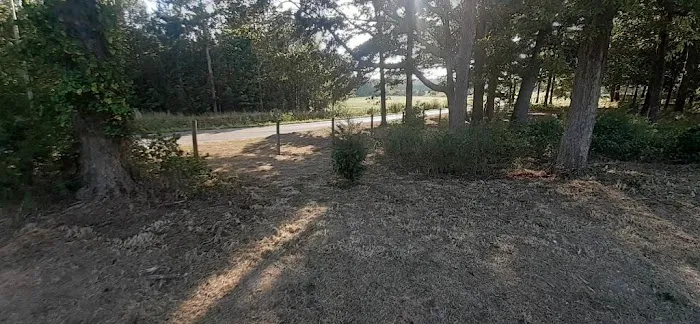 Lucky 7 Ranch Picture 1