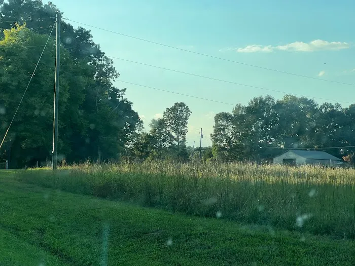 Lucky 7 Ranch Picture 4