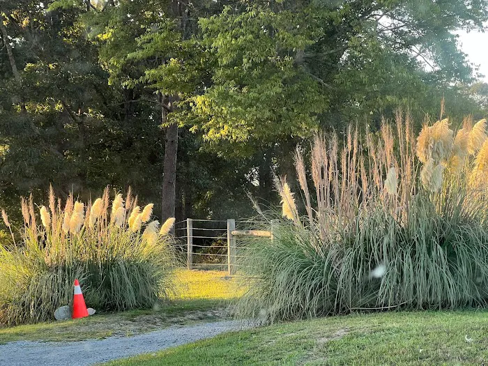 Lucky 7 Ranch Picture 5