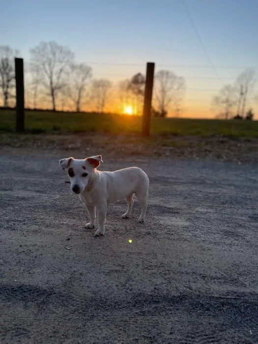 Lucky 7 Ranch Picture 3