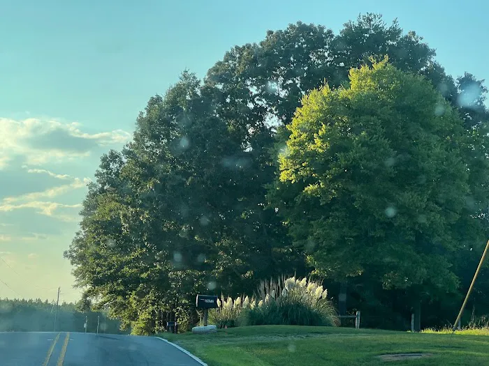 Lucky 7 Ranch Picture 6