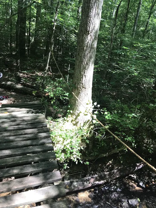 Camp Sequoyah: Frank Spain Scout Reservation Picture 1