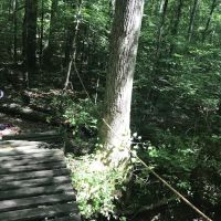 Camp Sequoyah: Frank Spain Scout Reservation ico