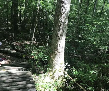 Camp Sequoyah: Frank Spain Scout Reservation