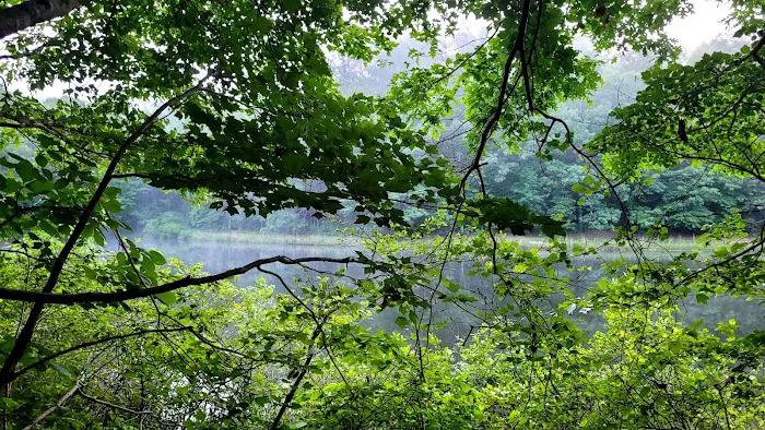 Camp Sequoyah: Frank Spain Scout Reservation Picture 8