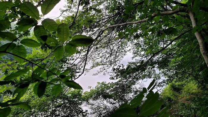 Camp Sequoyah: Frank Spain Scout Reservation Picture 7