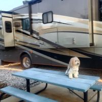Oxford Campground ico