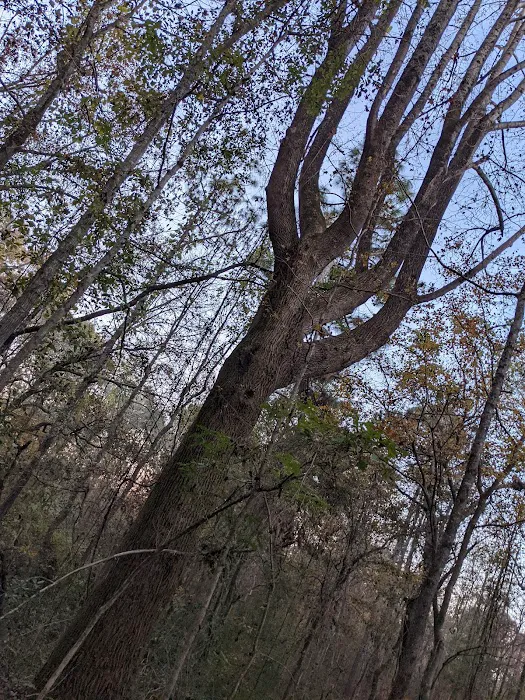Great Sky RV Park Wedowee LLC Picture 10