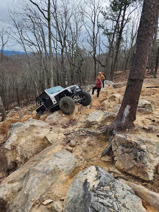 Choccolocco Mountain Picture 1