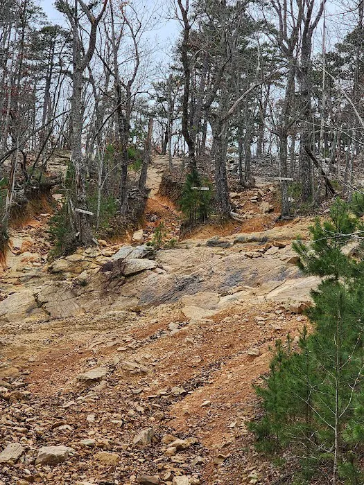 Choccolocco Mountain Picture 2