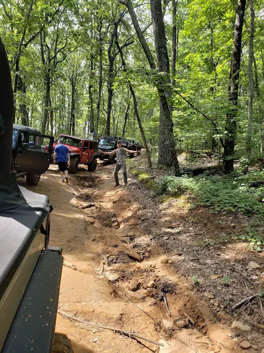 Choccolocco Mountain Picture 4