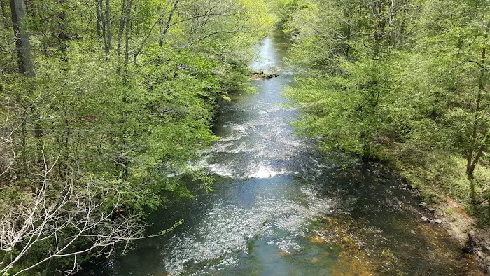 Coldwater Camp & Cabins Picture 2