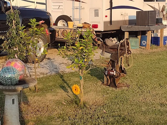 Robertson RV Picture 2