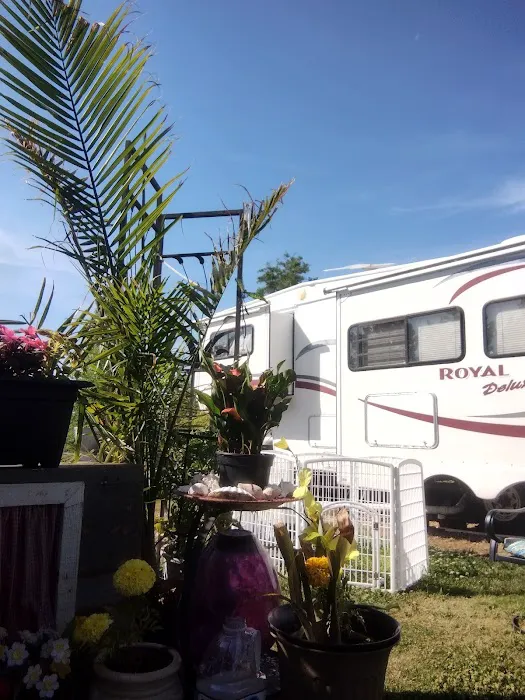 Robertson RV Picture 1