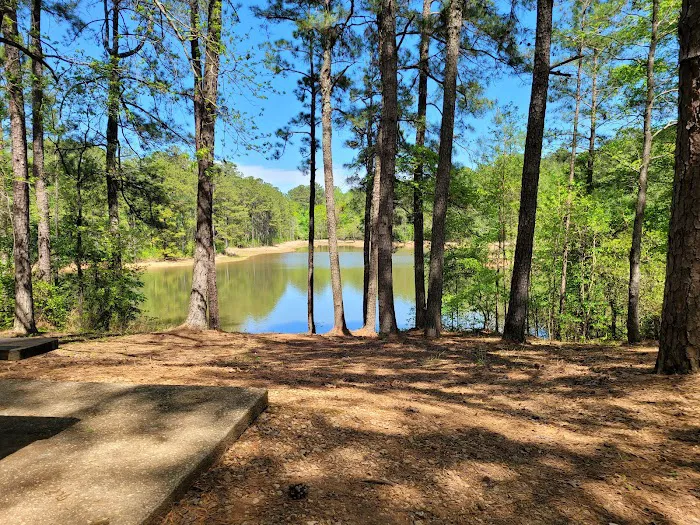 Holiday Campground Picture 2