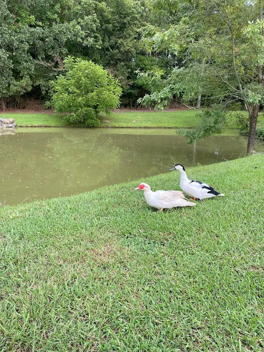 Cedar Break RV Park & Campground Picture 8