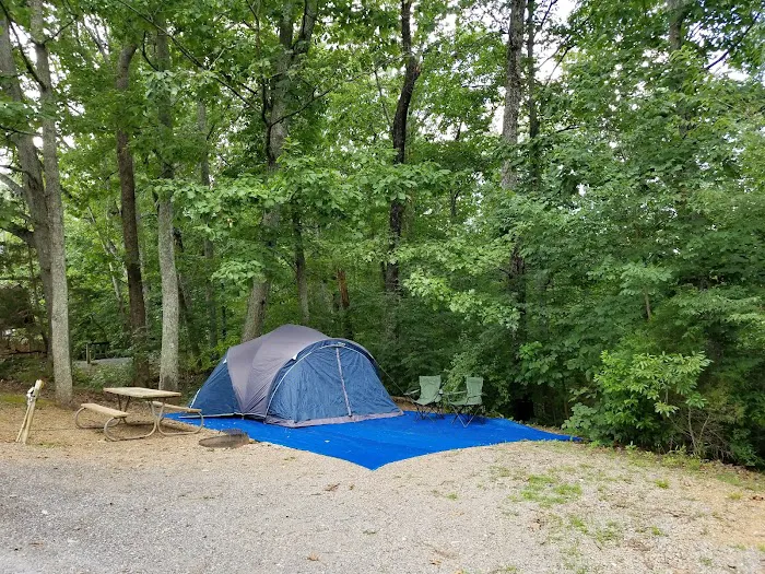 Lookout Mountain / Chattanooga West KOA Holiday Picture 10