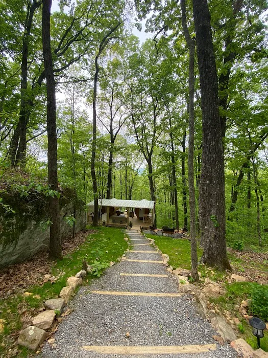 Canopy Treesort Picture 3