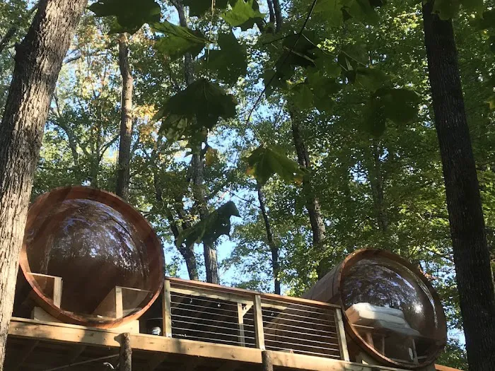 Canopy Treesort Picture 5