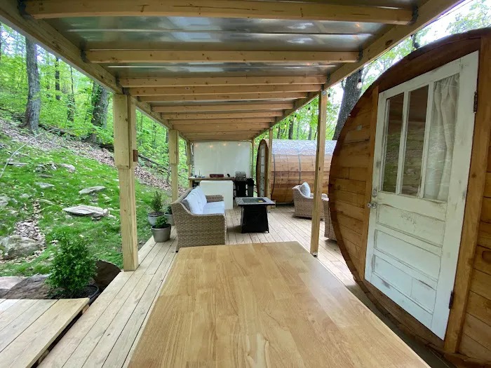 Canopy Treesort Picture 2