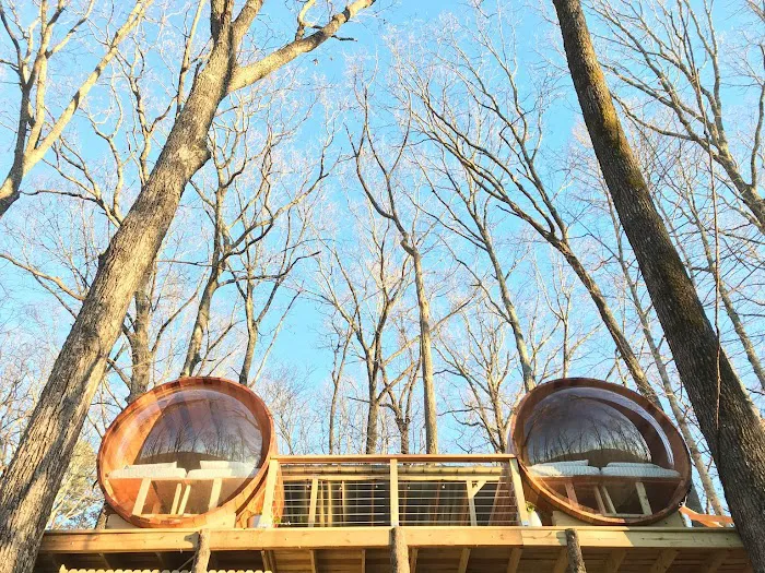 Canopy Treesort Picture 4