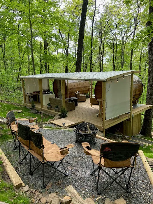 Canopy Treesort Picture 7