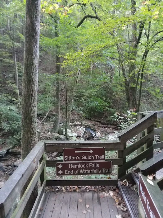 East Rim Campground Picture 2