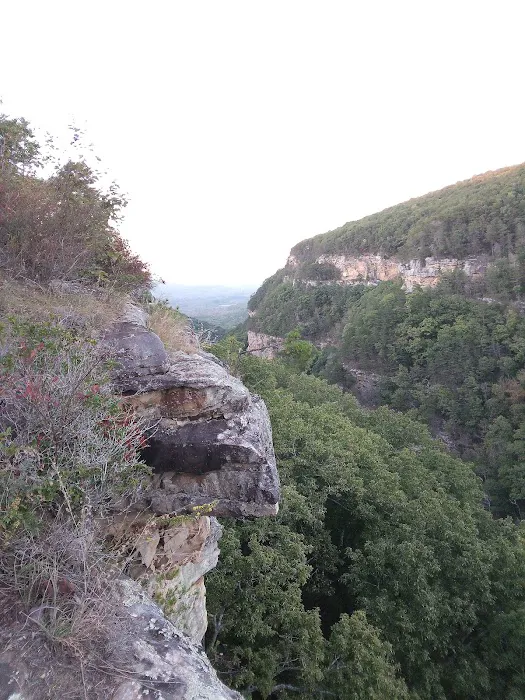 East Rim Campground Picture 1