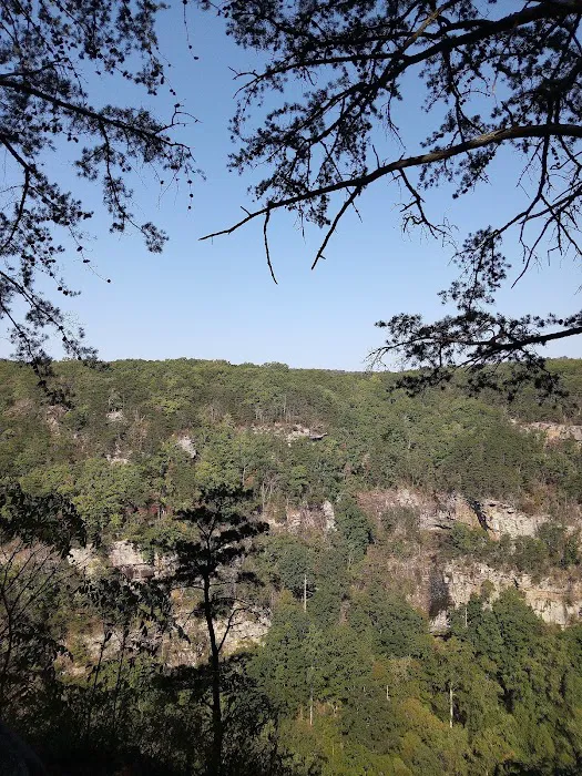 East Rim Campground Picture 7