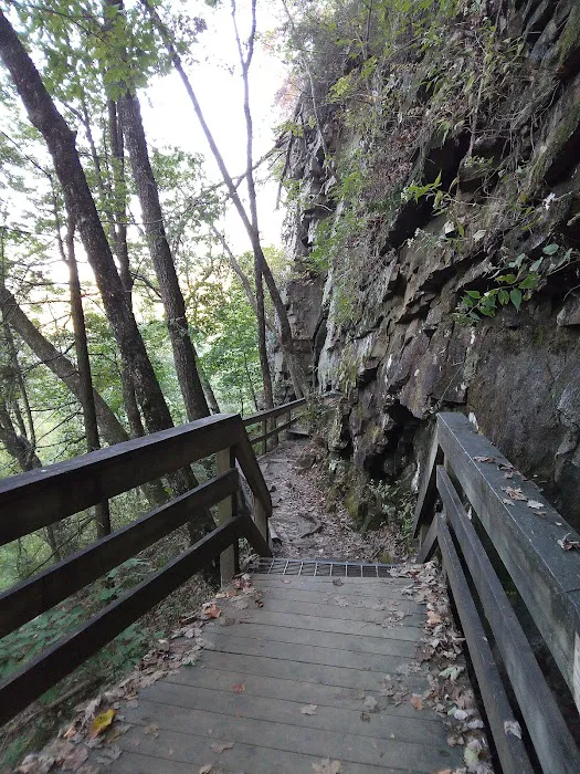 East Rim Campground Picture 6