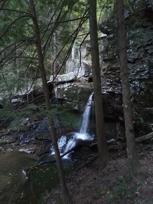 East Rim Campground Picture 5