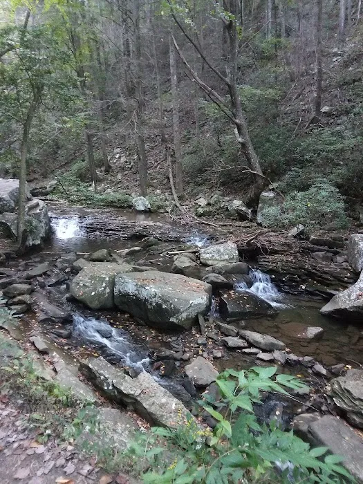 East Rim Campground Picture 3